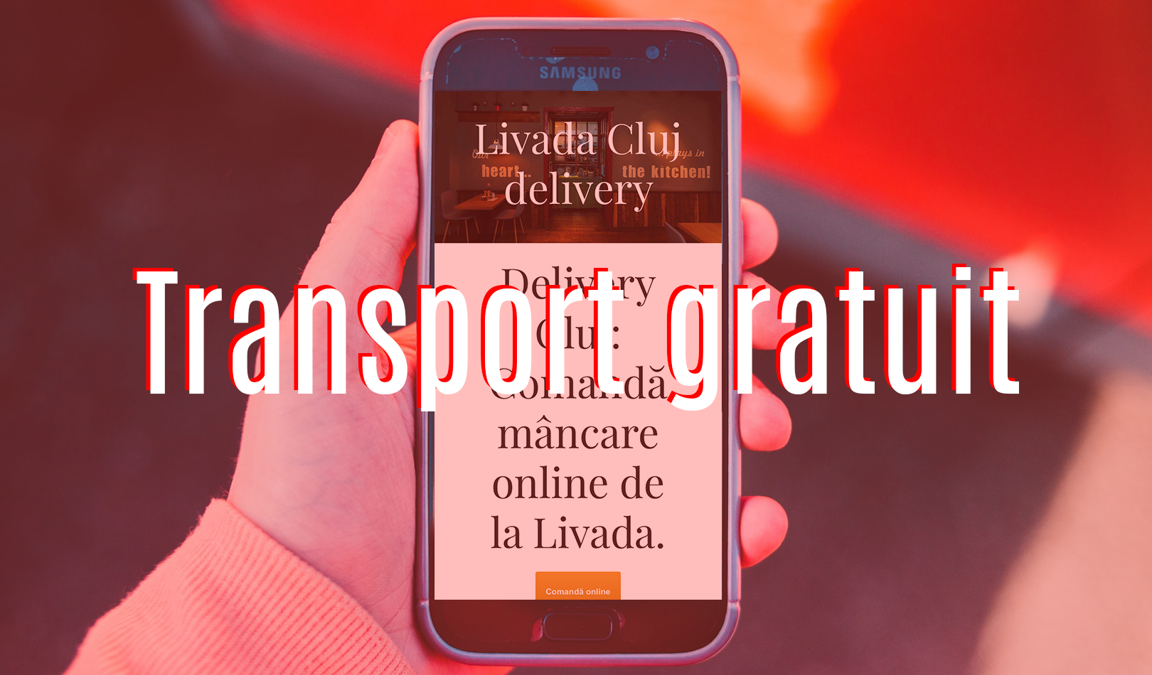 Transport gratuit la Livada Cluj